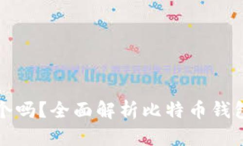 比特币钱包可以多个吗？全面解析比特币钱包的多样性与安全性