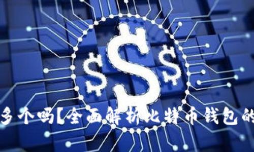 比特币钱包可以多个吗？全面解析比特币钱包的多样性与安全性