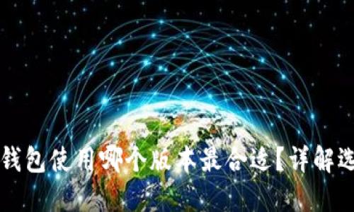 区块链钱包使用哪个版本最合适？详解选择指南