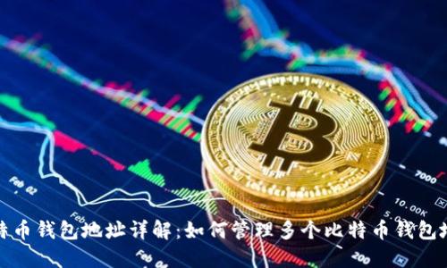 比特币钱包地址详解：如何管理多个比特币钱包地址