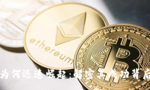 :
TP钱包为何迅速崛起：解密其成功背后的因素