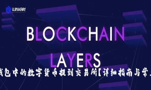 如何将TP钱包中的数字货币提到交易所？详细指南与常见问题解答