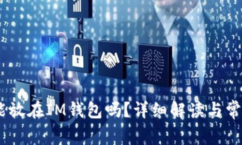 USDT能放在IM钱包吗？详细解读与常见问题