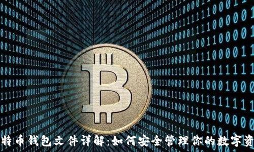   
比特币钱包文件详解：如何安全管理你的数字资产