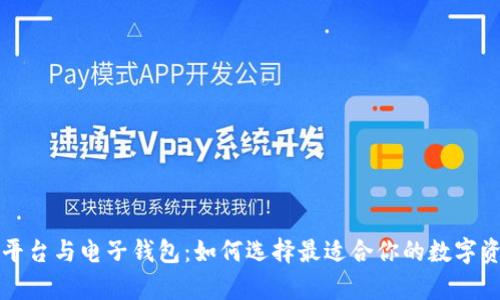 比特币交易平台与电子钱包：如何选择最适合你的数字资产储存方案