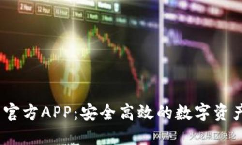 USDT钱包官方APP：安全高效的数字资产管理平台