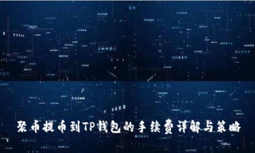 聚币提币到TP钱包的手续费详解与策略