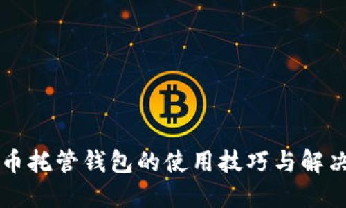 虚拟币托管钱包的使用技巧与解决方案