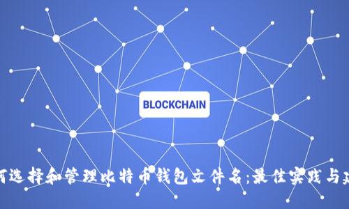 如何选择和管理比特币钱包文件名：最佳实践与建议