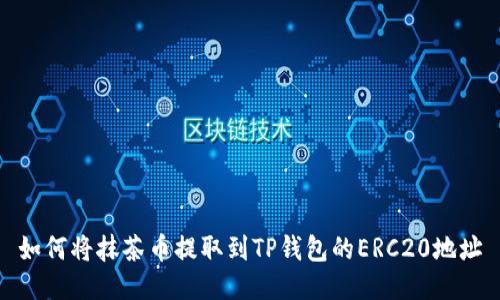 如何将抹茶币提取到TP钱包的ERC20地址