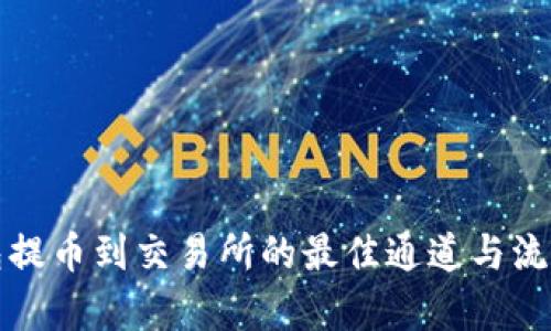 TP钱包提币到交易所的最佳通道与流程解析
