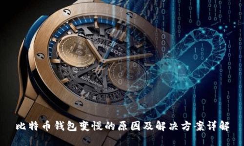 比特币钱包变慢的原因及解决方案详解