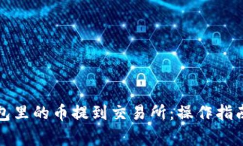 如何将TP钱包里的币提到交易所：操作指南与注意事项