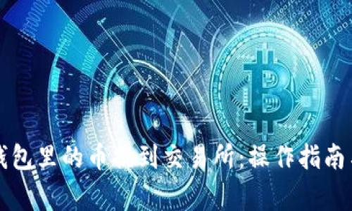 如何将TP钱包里的币提到交易所：操作指南与注意事项