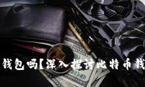 比特币需要本地钱包吗？深入探讨比特币钱包的类型与选择