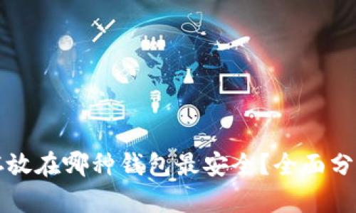 比特币存放在哪种钱包最安全？全面分析与推荐
