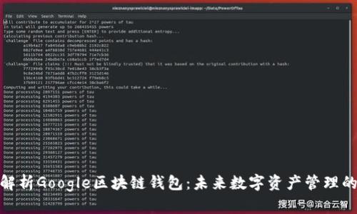 : 全面解析Google区块链钱包：未来数字资产管理的新选择