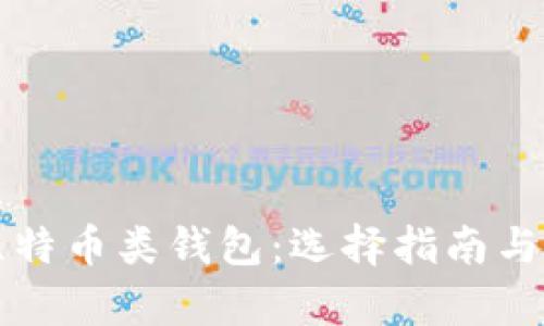 深入探讨比特币类钱包：选择指南与安全性分析