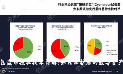 TP钱包盗币授权技术详解：如何保护您的数字资产安全