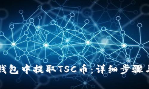 如何从TP钱包中提取TSC币：详细步骤与注意事项