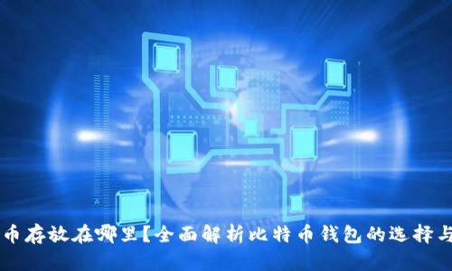 比特币存放在哪里？全面解析比特币钱包的选择与使用