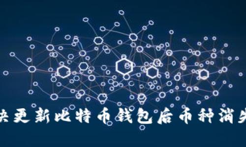 如何解决更新比特币钱包后币种消失的问题