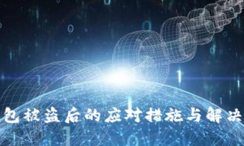 TP钱包被盗后的应对措施与解决方案
