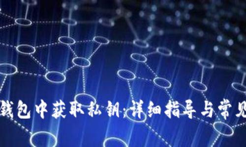 如何在TP钱包中获取私钥：详细指导与常见问题解答