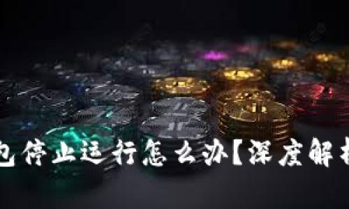 比特币冷钱包停止运行怎么办？深度解析及解决方案
