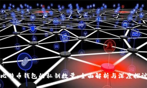 比特币钱包的私钥数量：全面解析与深度探讨