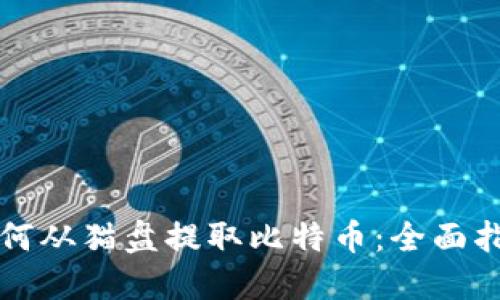 如何从猫盘提取比特币：全面指南