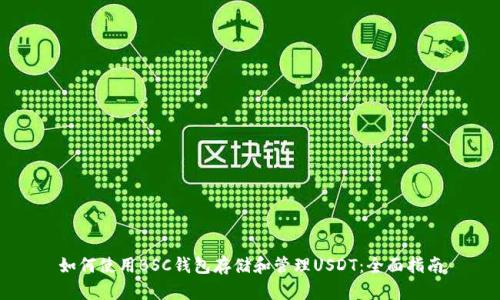 如何使用BSC钱包存储和管理USDT：全面指南