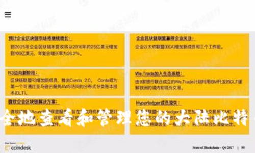 如何安全地查看和管理您的大陆比特币钱包？