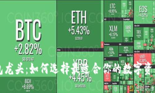 区块链钱包龙头：如何选择最适合你的数字资产管理工具