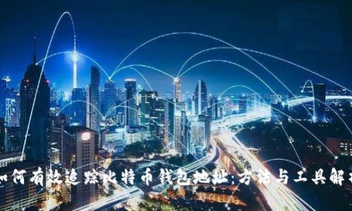 如何有效追踪比特币钱包地址：方法与工具解析