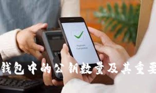比特币钱包中的公钥数量及其重要性详解