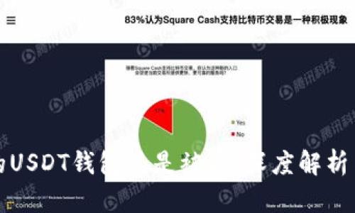为什么我的USDT钱包总是被盗：深度解析与防护建议
