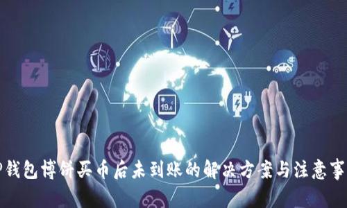 TP钱包博饼买币后未到账的解决方案与注意事项