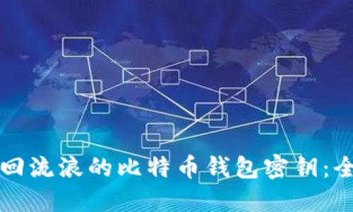 如何找回流浪的比特币钱包密钥：全面指南