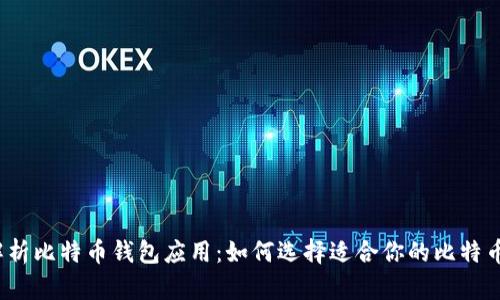 全面解析比特币钱包应用：如何选择适合你的比特币钱包？