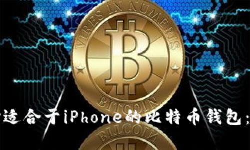 如何选择适合于iPhone的比特币钱包：全面指南