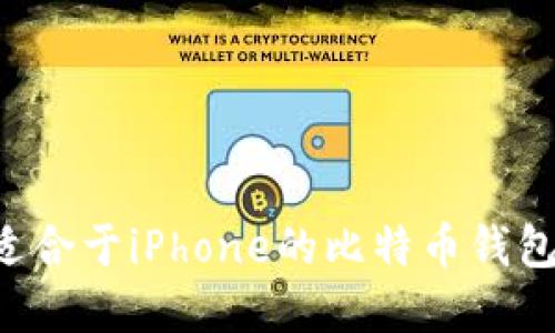 如何选择适合于iPhone的比特币钱包：全面指南