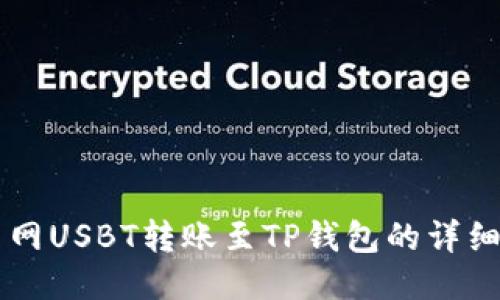 货币网USBT转账至TP钱包的详细指南