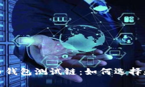 全面解析比特币钱包测试链：如何选择和使用最佳钱包