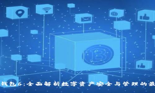 虚拟币钱包6：全面解析数字资产安全与管理的最佳选择