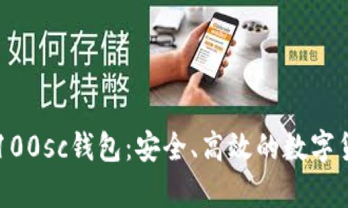 了解区块链100sc钱包：安全、高效的数字货币存储方案