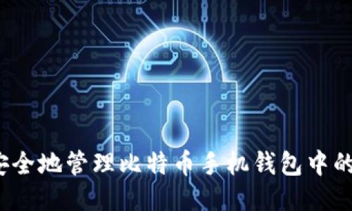 如何安全地管理比特币手机钱包中的私钥？