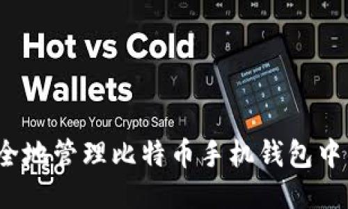 如何安全地管理比特币手机钱包中的私钥？