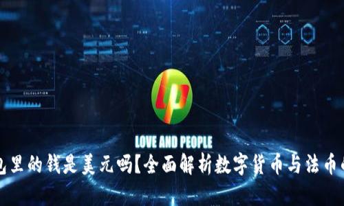 TP钱包里的钱是美元吗？全面解析数字货币与法币的关系