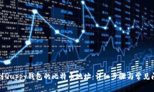 如何找到Quppy钱包的比特币地址：详细步骤与常见问题解答